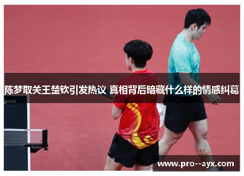 陈梦取关王楚钦引发热议 真相背后暗藏什么样的情感纠葛