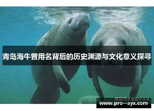 青岛海牛曾用名背后的历史渊源与文化意义探寻