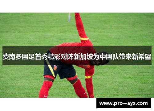 费南多国足首秀精彩对阵新加坡为中国队带来新希望
