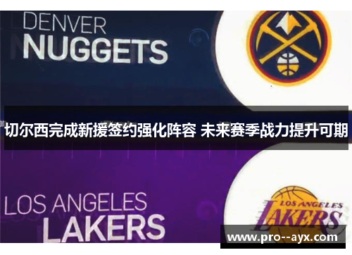 切尔西完成新援签约强化阵容 未来赛季战力提升可期 切尔西完成新援签约强化阵容 未来赛季战力提升可期